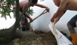 'Chết cười' với vũ điệu xúc cát theo phong cách thanh niên 'ngáo đá'